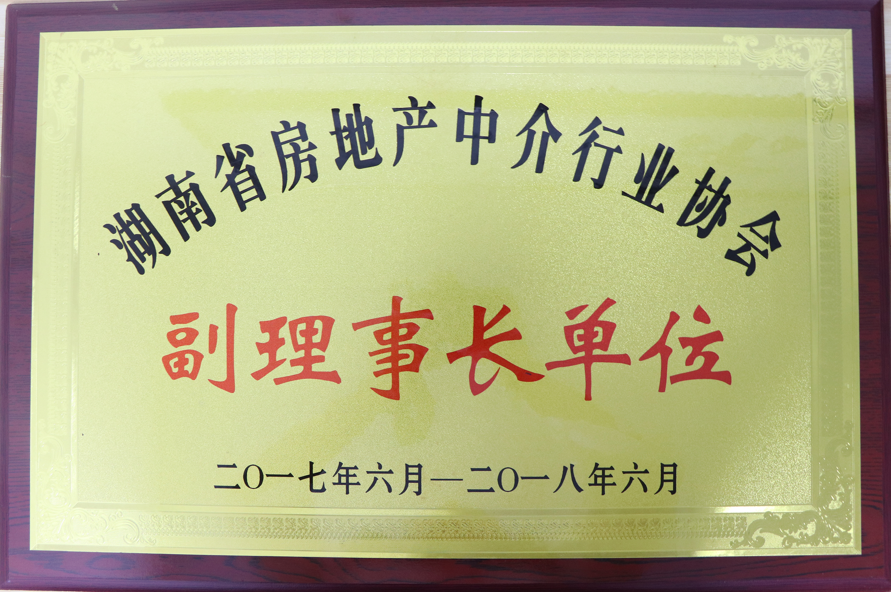 2017-2018年度湖南省房地產(chǎn)中介行業(yè)協(xié)會(huì)副理事長(zhǎng)單位