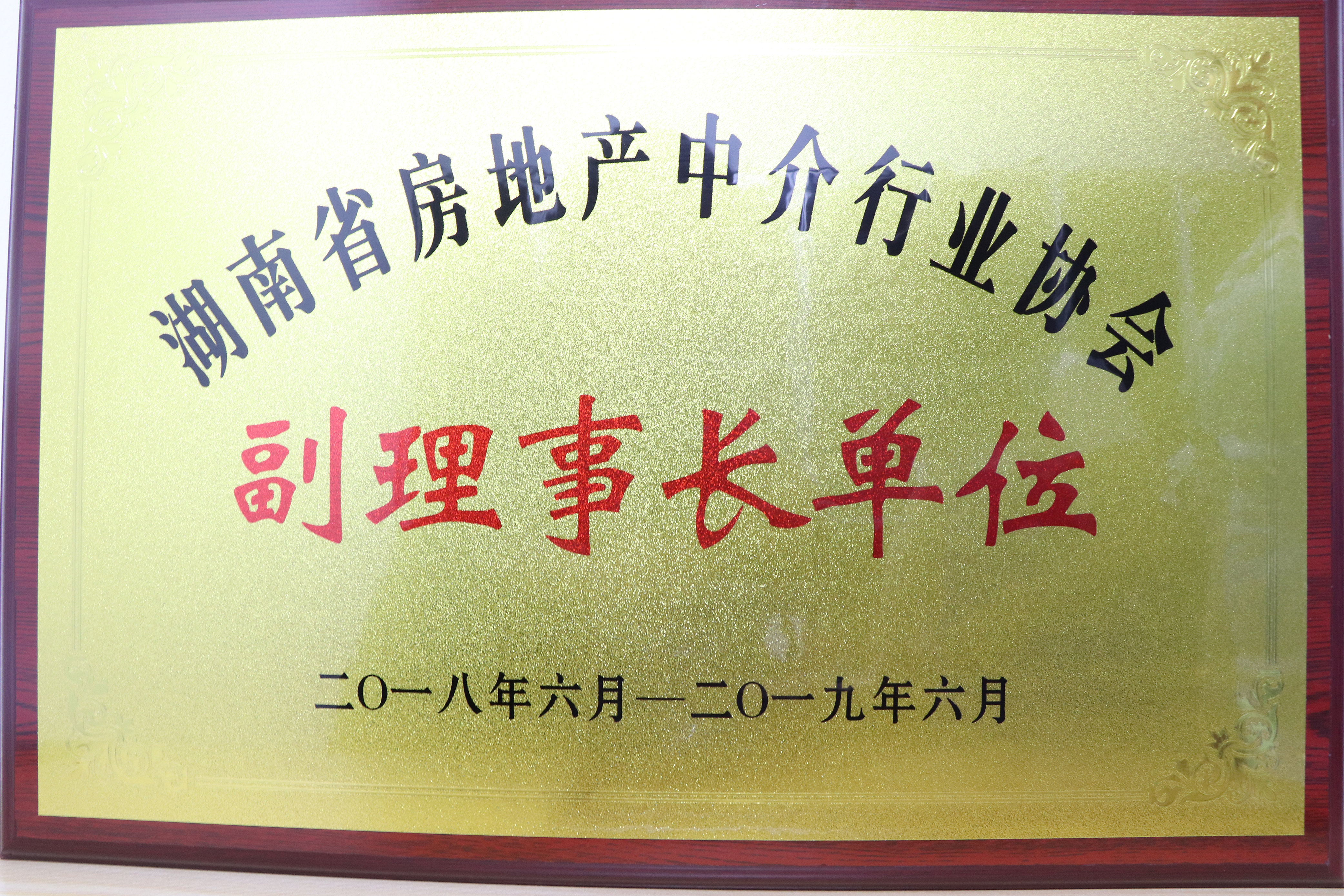 2018-2019年度湖南省房地產(chǎn)中介行業(yè)協(xié)會(huì)副理事長(zhǎng)單位